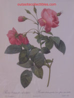070427_dumb_thieves_stradivarius_violin_baroda_pearls001008.jpg