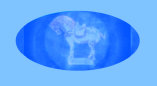 070427_dumb_thieves_stradivarius_violin_baroda_pearls001024.jpg