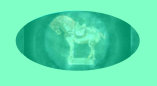 070427_dumb_thieves_stradivarius_violin_baroda_pearls001025.jpg