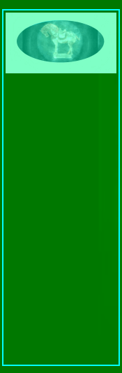 070427_dumb_thieves_stradivarius_violin_baroda_pearls001036.gif